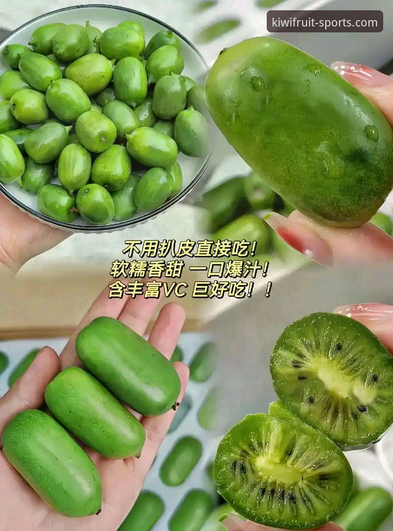 奇异果体育安装步骤 vs 传统下载方式：哪个更适合体育迷？